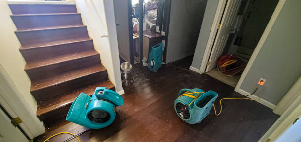 Best Local water damage restoration  in Coral Terrace, FL