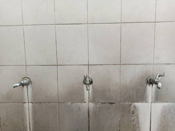 Best 24-hour water damage restoration  in Coral Terrace, FL