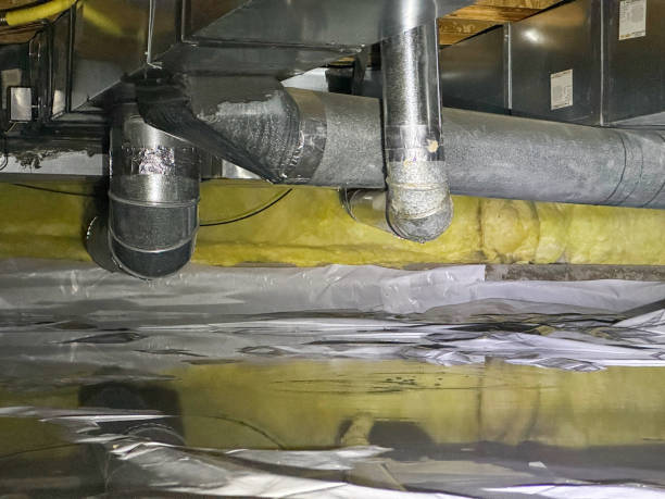 Best Flood damage cleanup  in Coral Terrace, FL