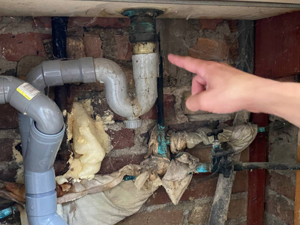 Best Local water damage restoration  in Coral Terrace, FL
