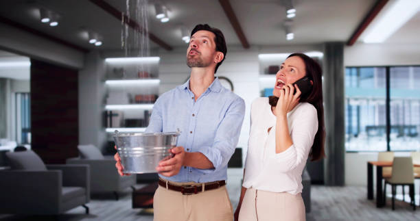 Best Basement water damage restoration  in Coral Terrace, FL